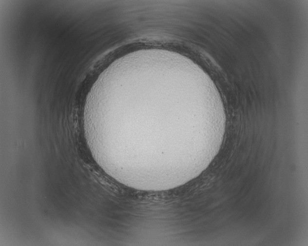 X0000082141016200702092120