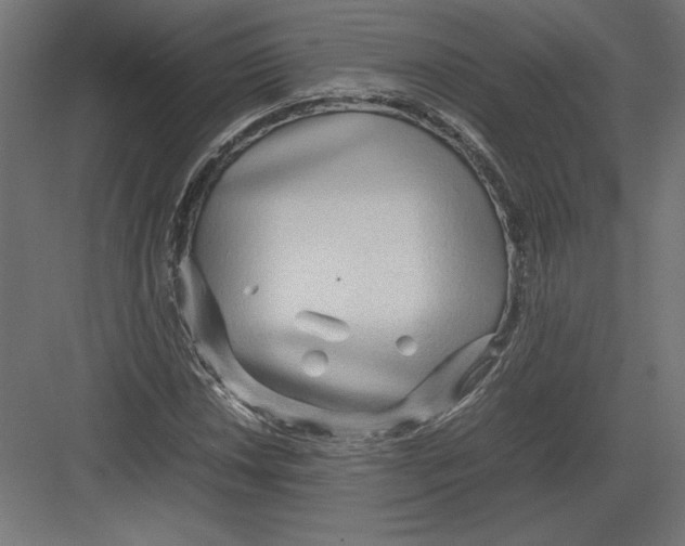 X0000082141018200702092120