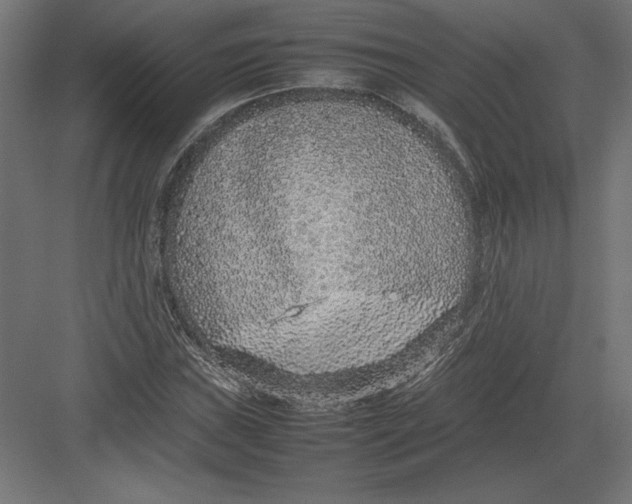 X0000082141019200702092120