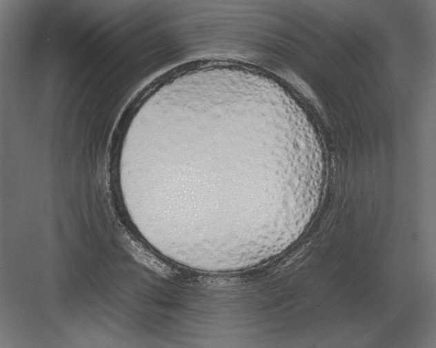 X0000082141020200702092120