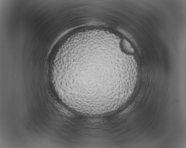 X0000082141021200702092120