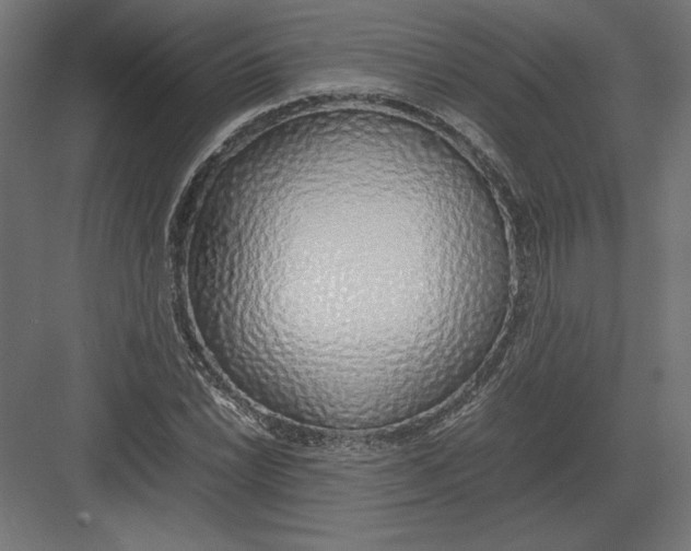 X0000082141022200702092120