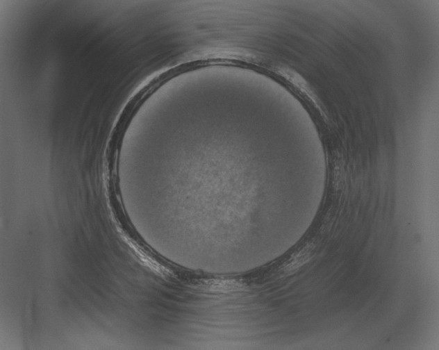 X0000082141024200702092120