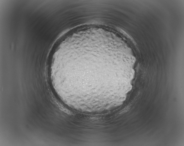 X0000082141029200702092120