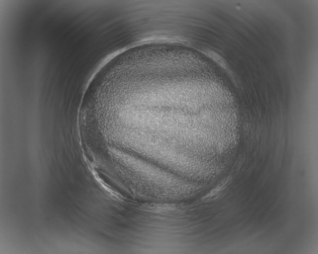 X0000082141030200702092120