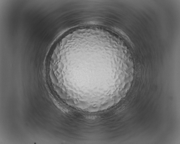 X0000082141031200702092120