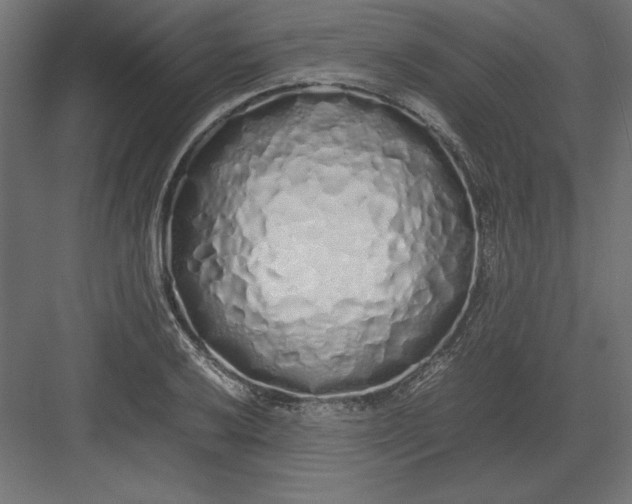 X0000082141032200702092120