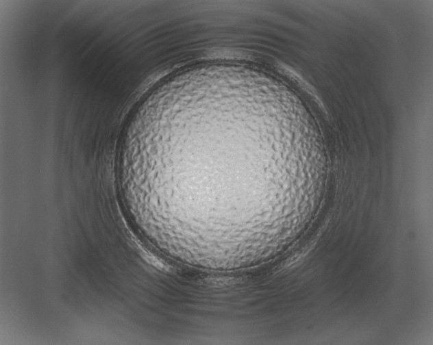 X0000082141033200702092120