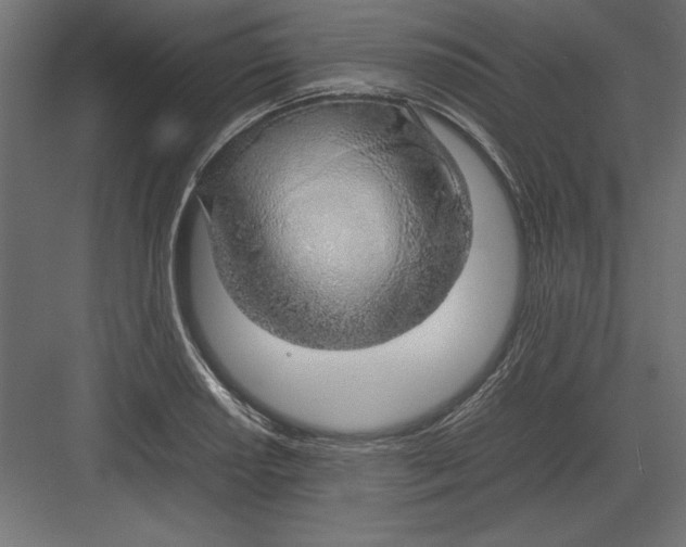 X0000082141034200702092120