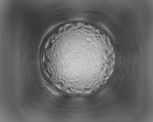 X0000082141035200702092120