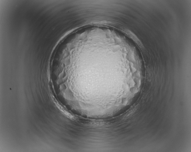 X0000082141036200702092120