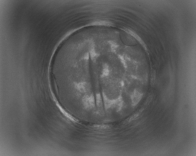 X0000082141037200702092120