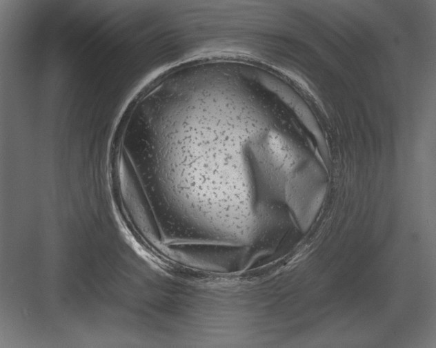 X0000082141038200702092120