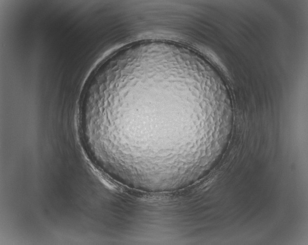 X0000082141040200702092120