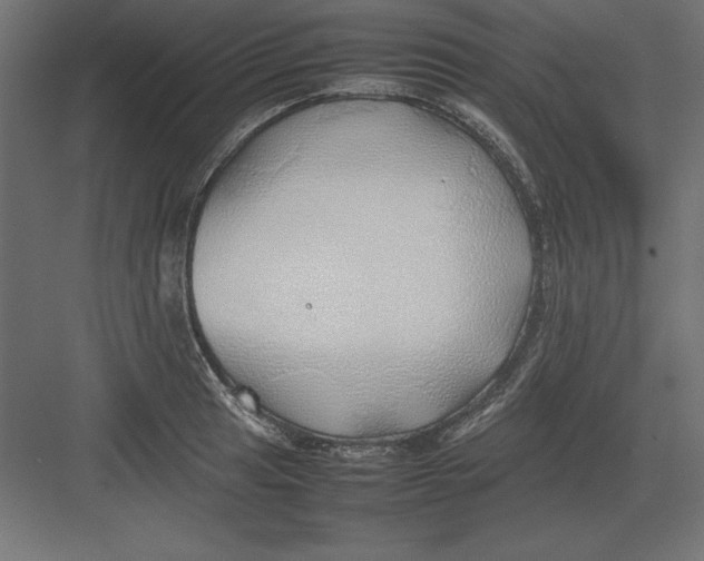 X0000082141041200702092120