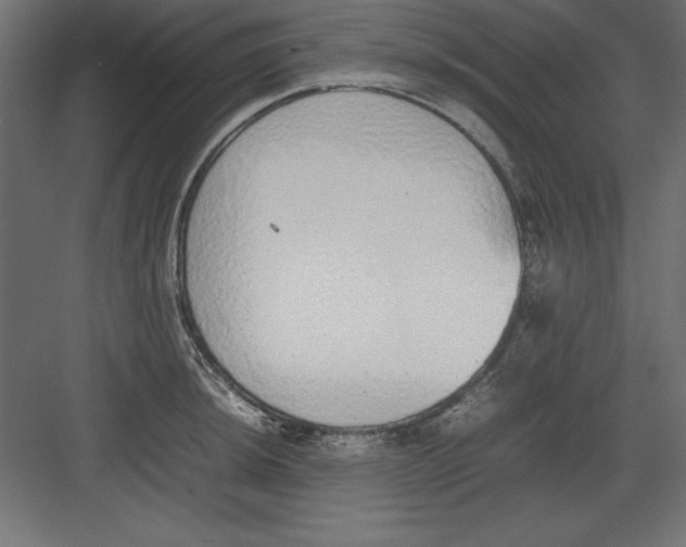 X0000082141044200702092120