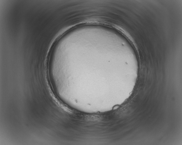 X0000082141045200702092120