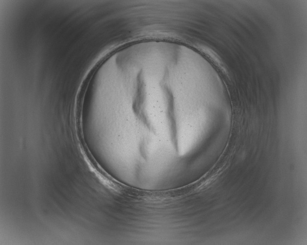 X0000082141046200702092120