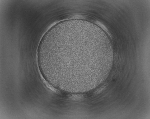 X0000082141047200702092120