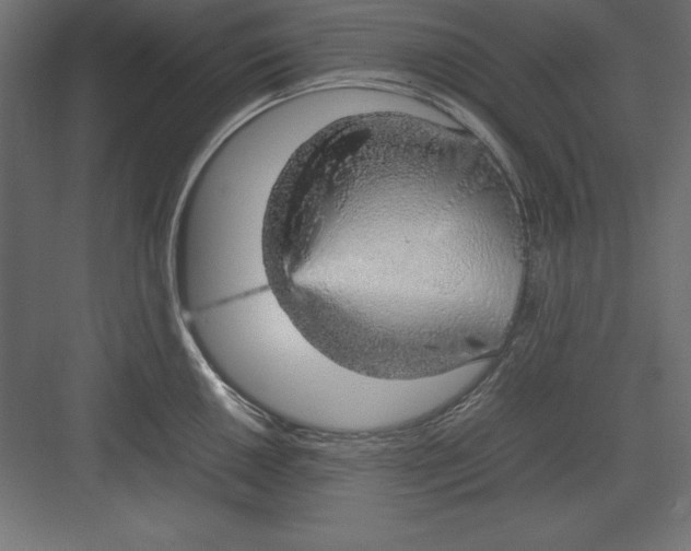 X0000082141050200702092120