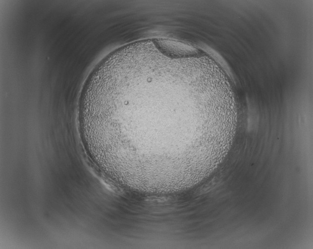 X0000082141051200702092120