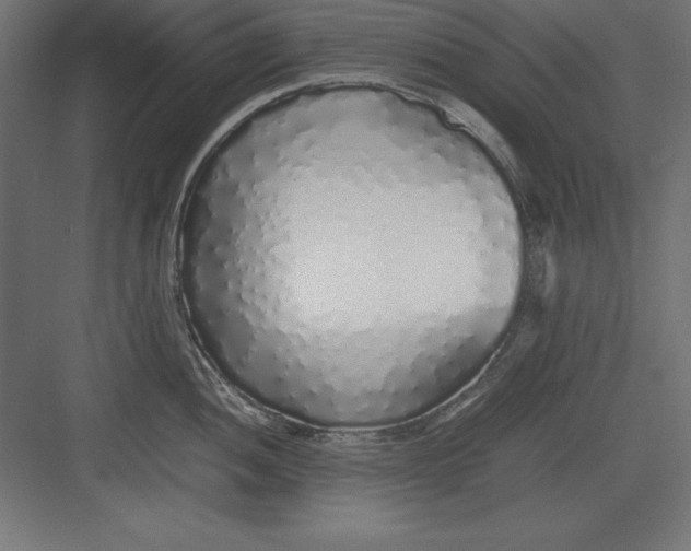 X0000082141052200702092120