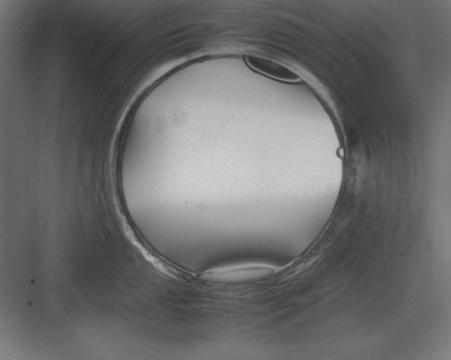 X0000082141053200702092120