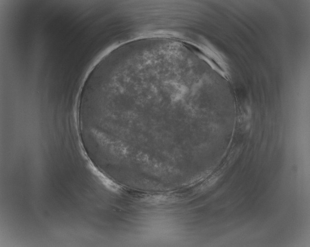 X0000082141054200702092120