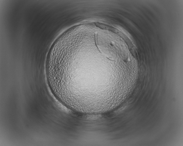 X0000082141055200702092120