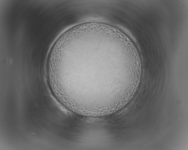 X0000082141056200702092120