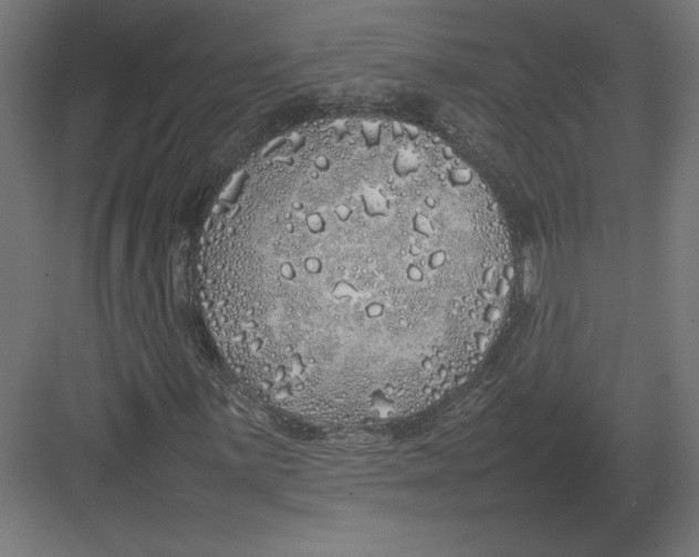 X0000082141059200702092119