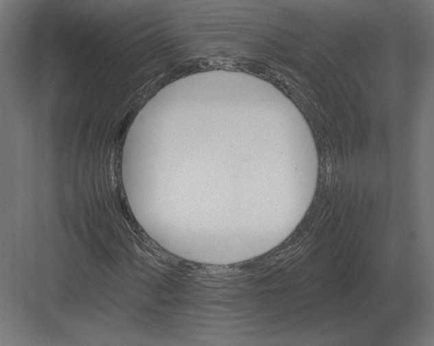 X0000082141060200702092119