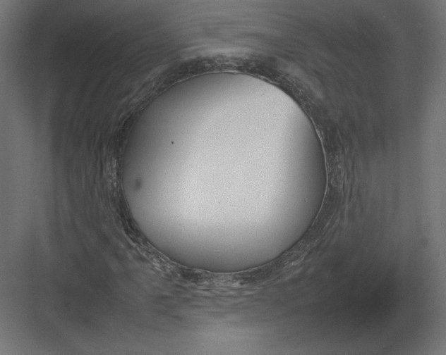 X0000082141061200702092119