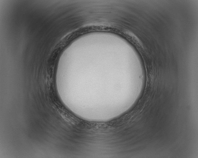 X0000082141064200702092119