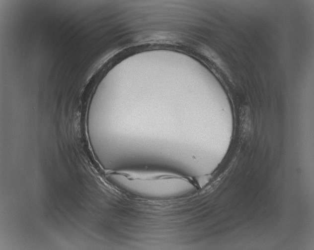 X0000082141066200702092119