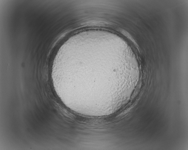 X0000082141067200702092119