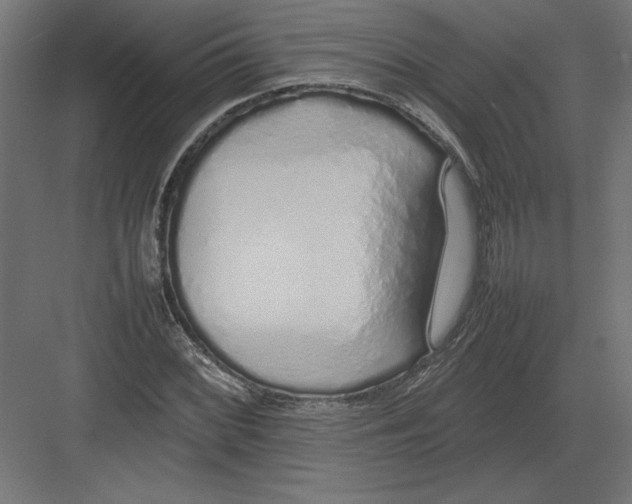 X0000082141068200702092119