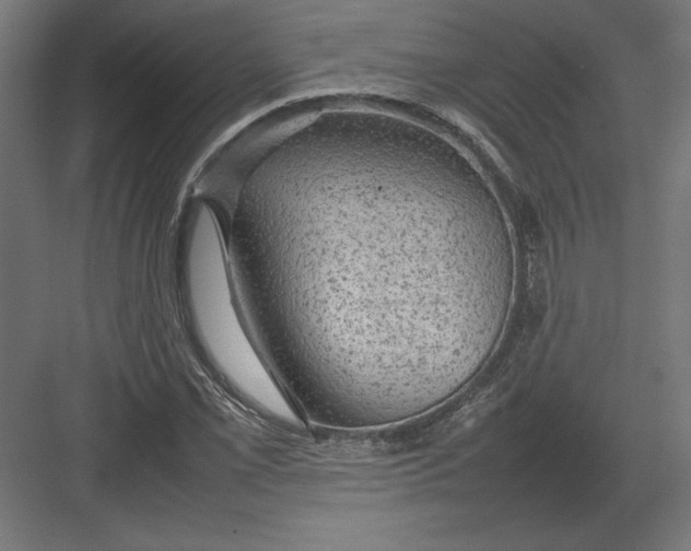 X0000082141069200702092119