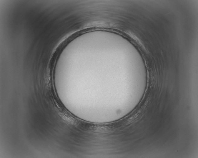 X0000082141070200702092119