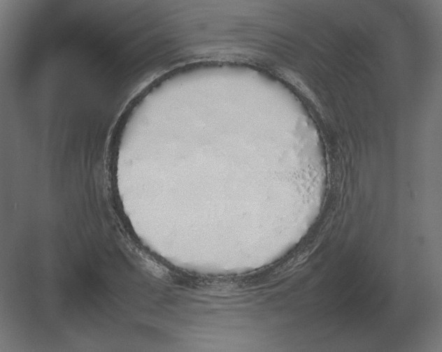 X0000082141071200702092119