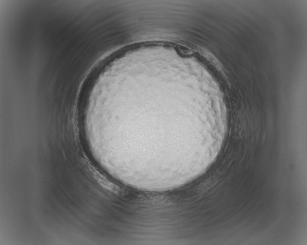 X0000082141072200702092119