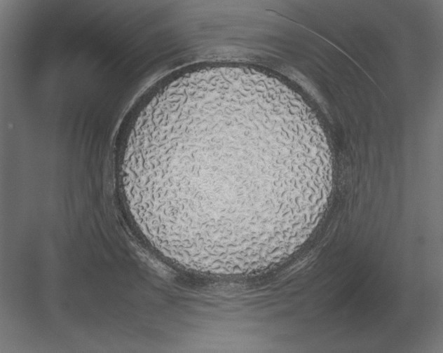 X0000082141075200702092119