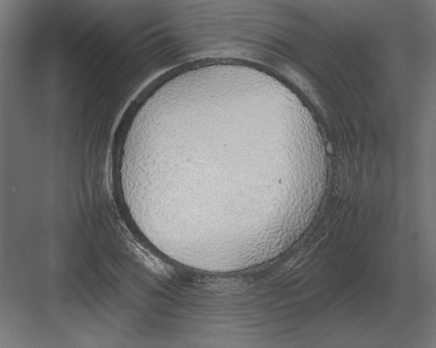 X0000082141076200702092119