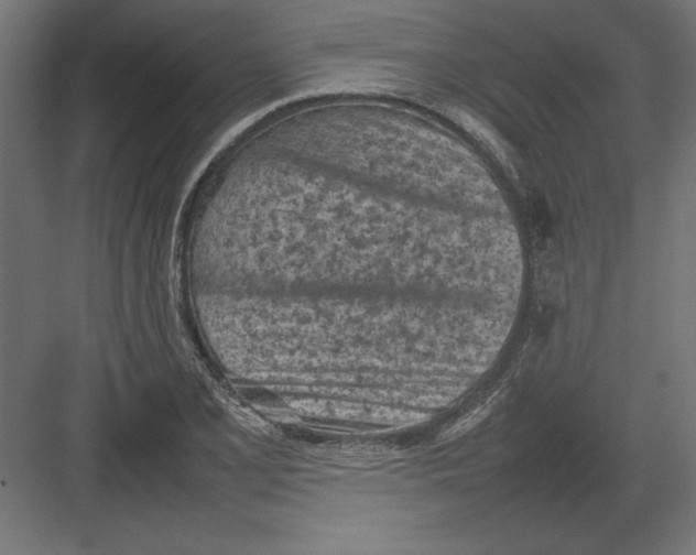 X0000082141077200702092119