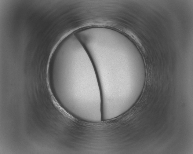 X0000082141080200702092119