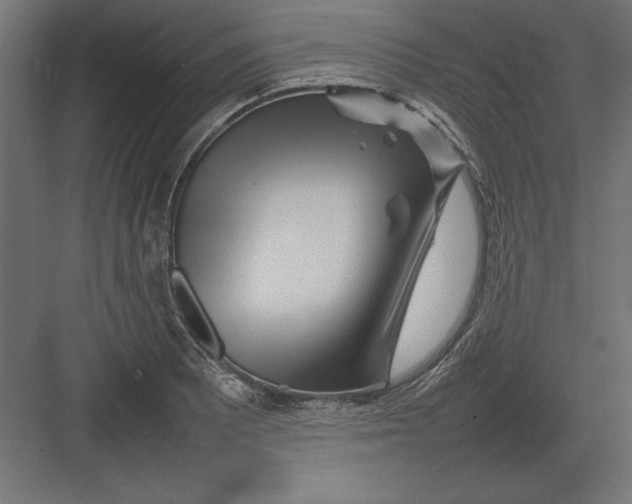 X0000082141081200702092119