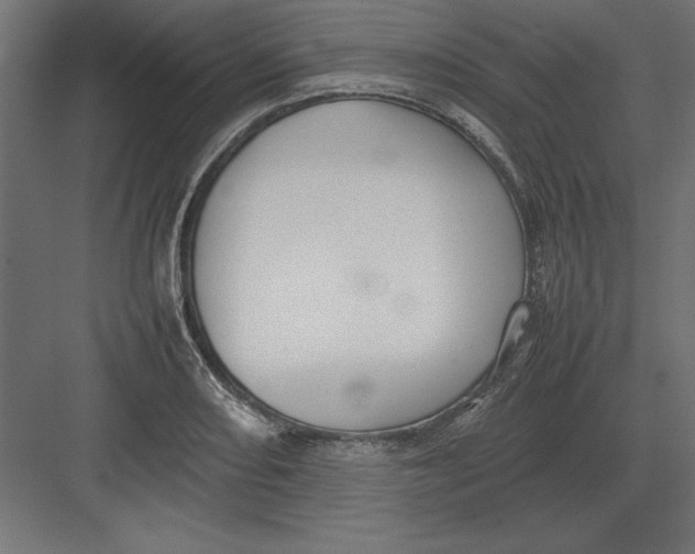 X0000082141082200702092119