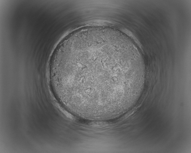 X0000082141083200702092119