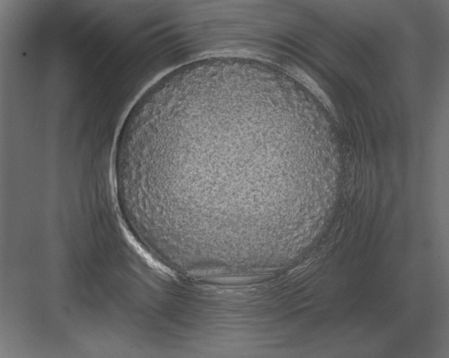 X0000082141084200702092119