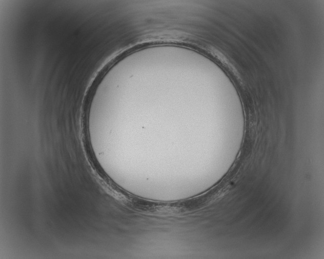 X0000082141085200702092119